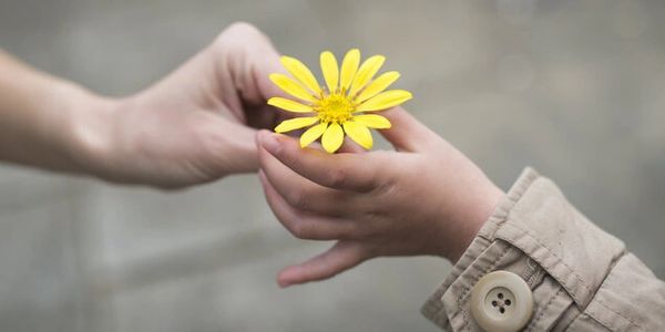 Righteous Action - How to do meditation.