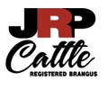 JRP CATTLE