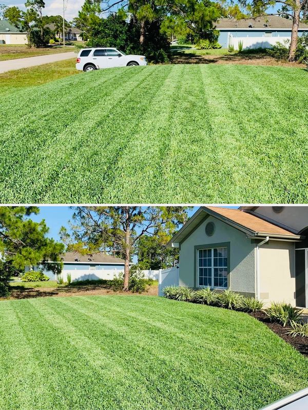 green grass striped from lawn mower