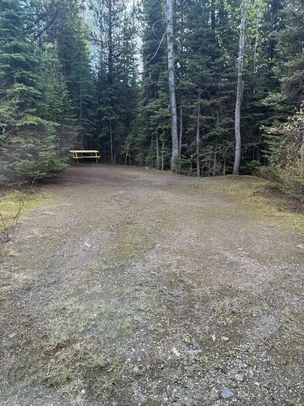 Nugget Hills tent site