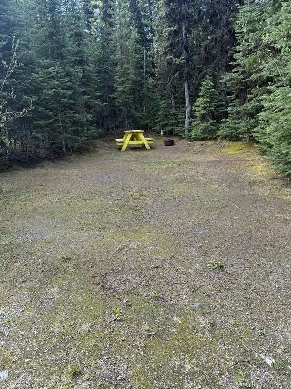 Nugget Hills tent site