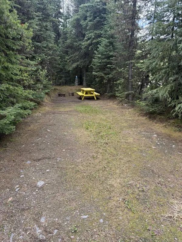 Nugget Hills tent site