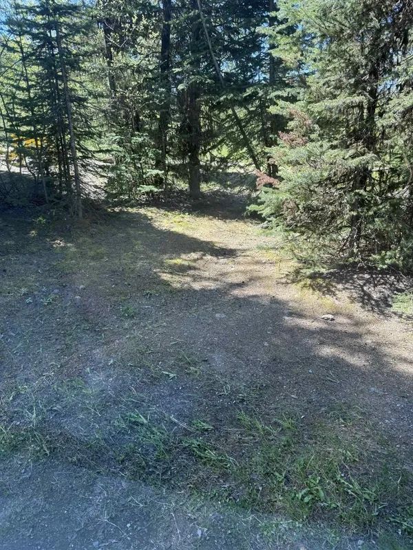 Nugget Hills tent site