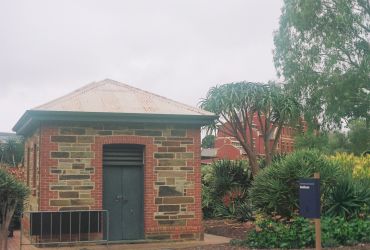 Small brick building with a grey door and plants around.