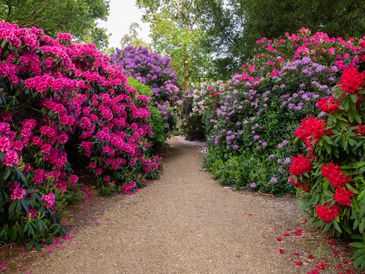 love shooting pre wedding session in a park.