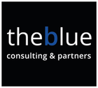 The Blue Commerce Consulting & Partners