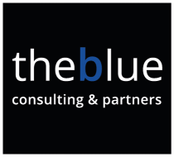 The Blue Commerce Consulting & Partners
