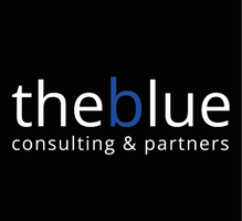 The Blue Commerce Consulting & Partners