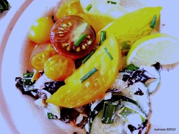 Heirloom Tomato and Cucumber Salad grown by Chef Moon 
