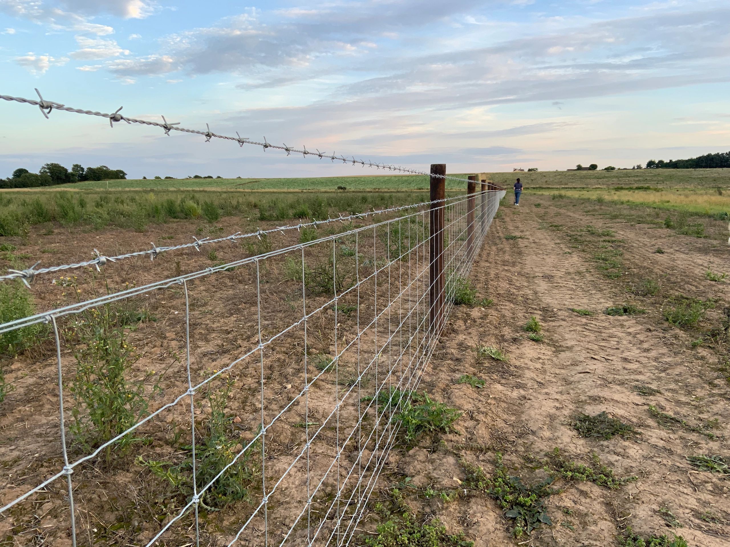 Barbed fence running through a field held by wooden posts