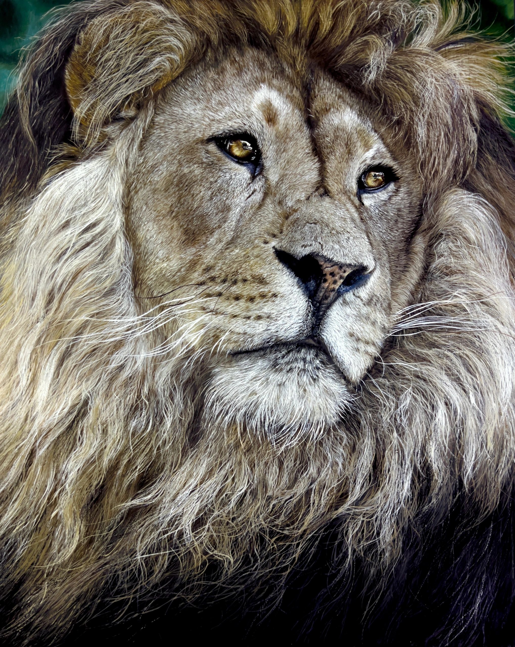 lion art, wildlife art, Africa, gallery, oil painting