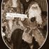 image45