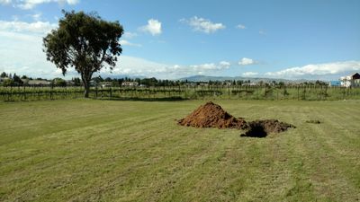 A soil profile  excavated to classify the site's soil characteristics in the Livermore Valley.