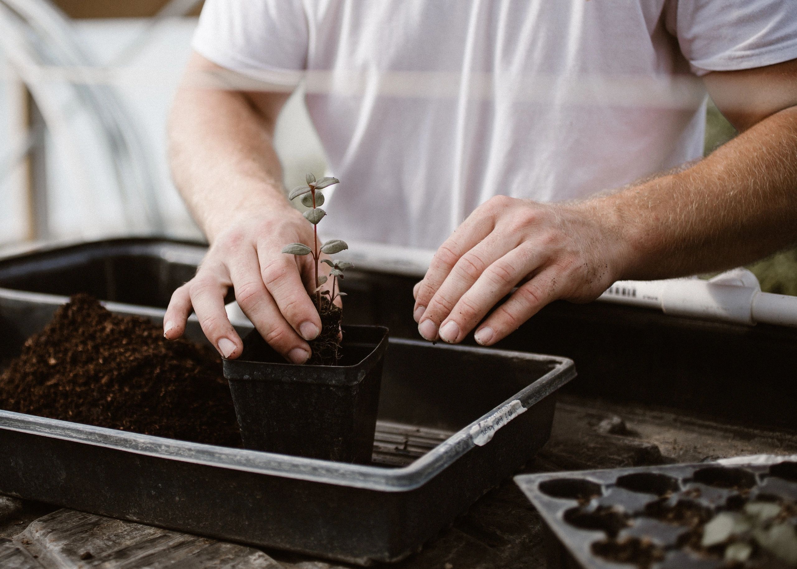 Get your Garden Growing!