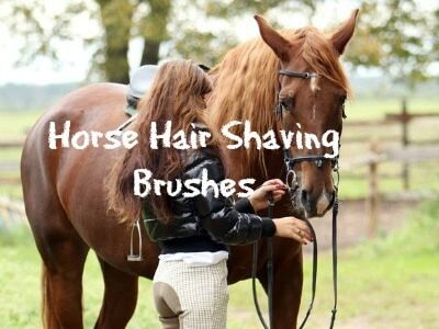 Any who uses horse hair brushes on leather, how do you clean it? After one  use it now smells like wet horse. The smell only gets worse when I actually  use it. 