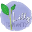 Lilly Les Plantes