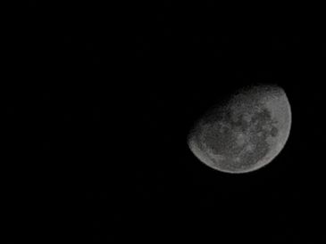 A detailed half moon against a pitch-black sky.