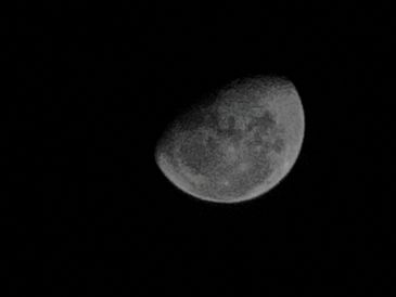 A clear view of a waxing gibbous moon against a dark night sky.