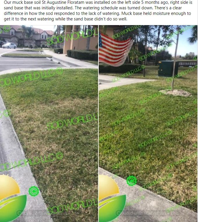 Sod Bradenton Sarasota Fresh Install