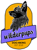 Wilderpups Dog Hiking