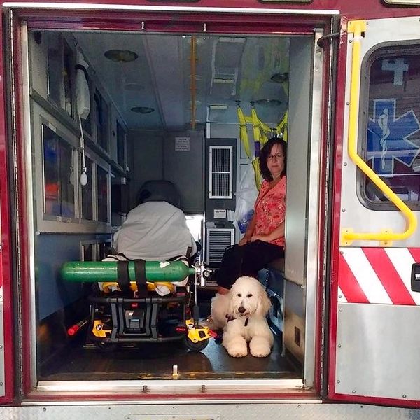 woman and a service dog sitting in the back of an ambulance