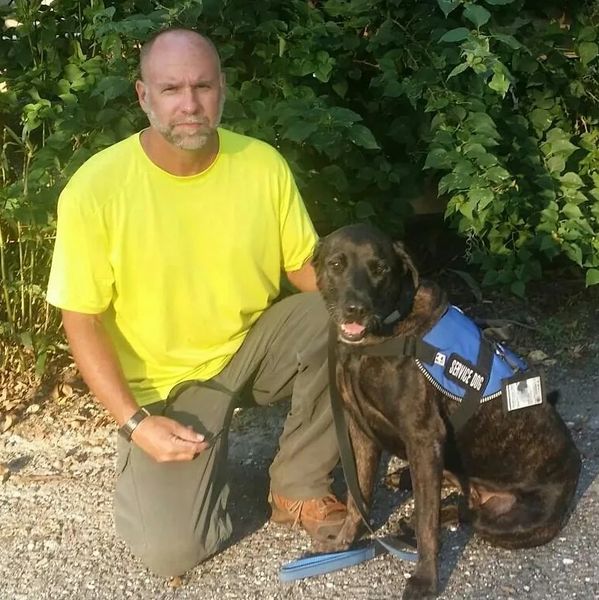 man kneeling next to a labrador retriever in a service dog vest