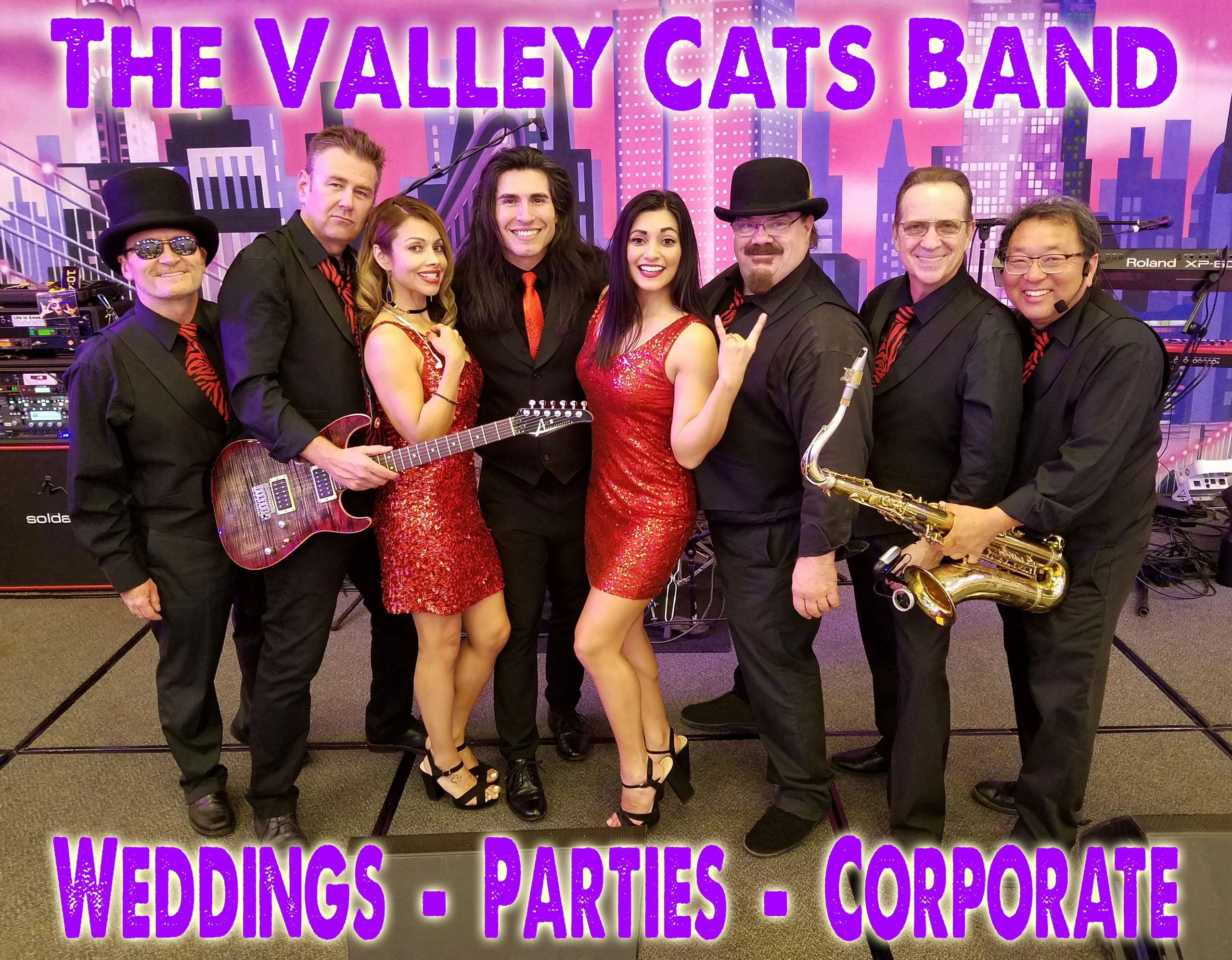 The Cats | The Valley Cats Band