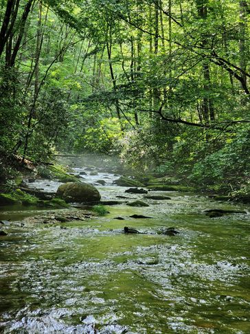 Bull head creek stone mountain state park