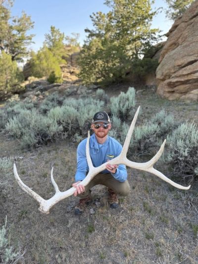 Man holding large antlers in outdoor setting with shrubs and rocks.