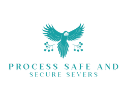 Process Safe and Secure Servers