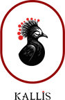 Kallis