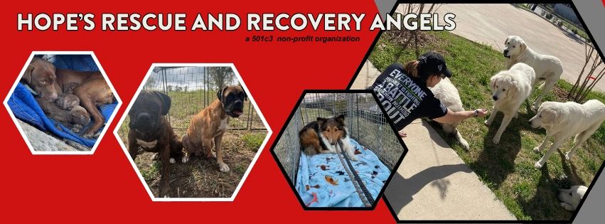 Angels Of Hope Rescue