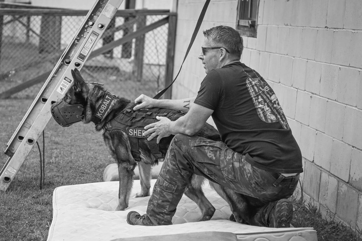 Paul Ludwig with K9 Kobalt during roof rappelling training at an Irondog K9 training session 