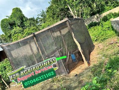 Entrepreneurship Program project