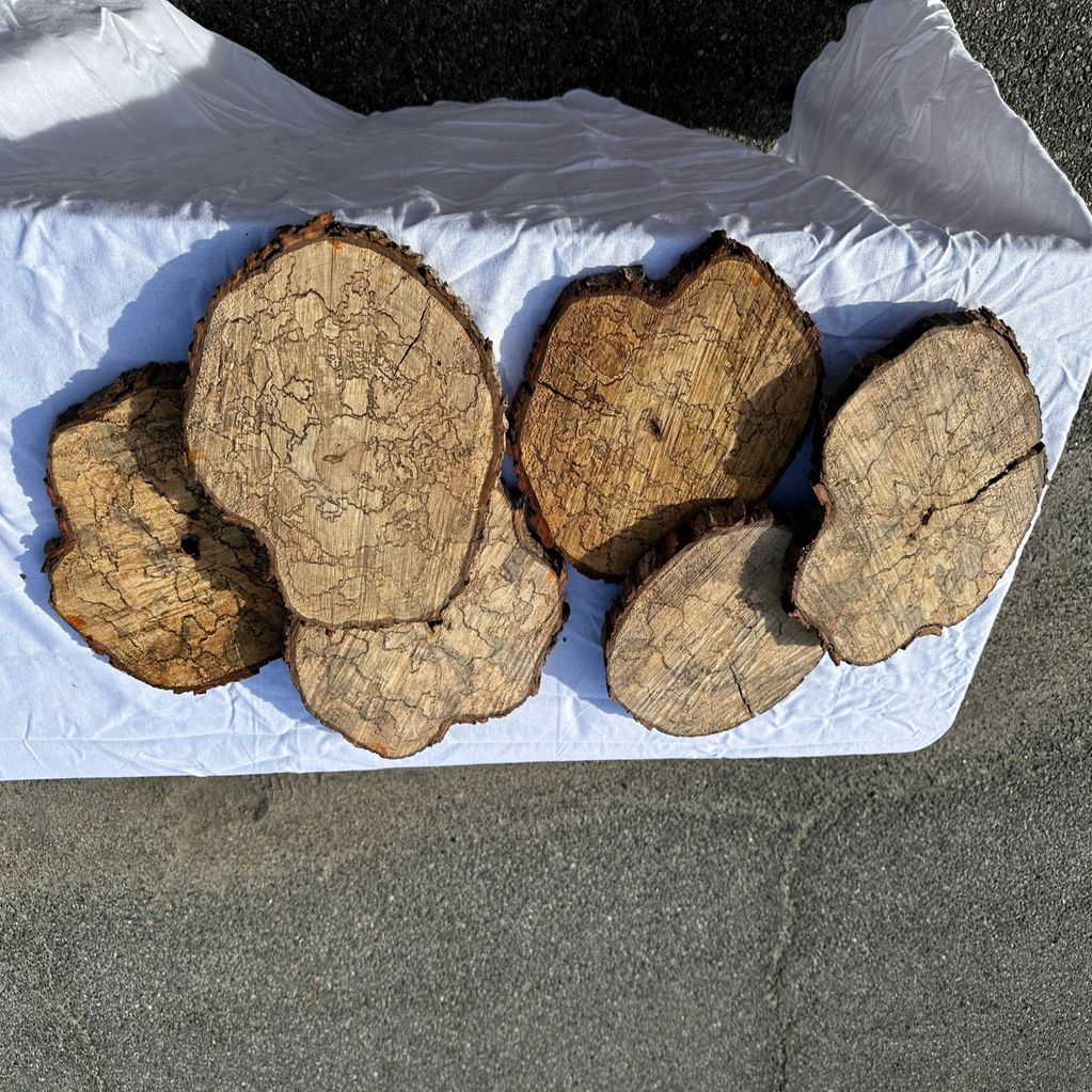 6 Large wood circles