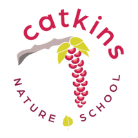 Catkins Preschool