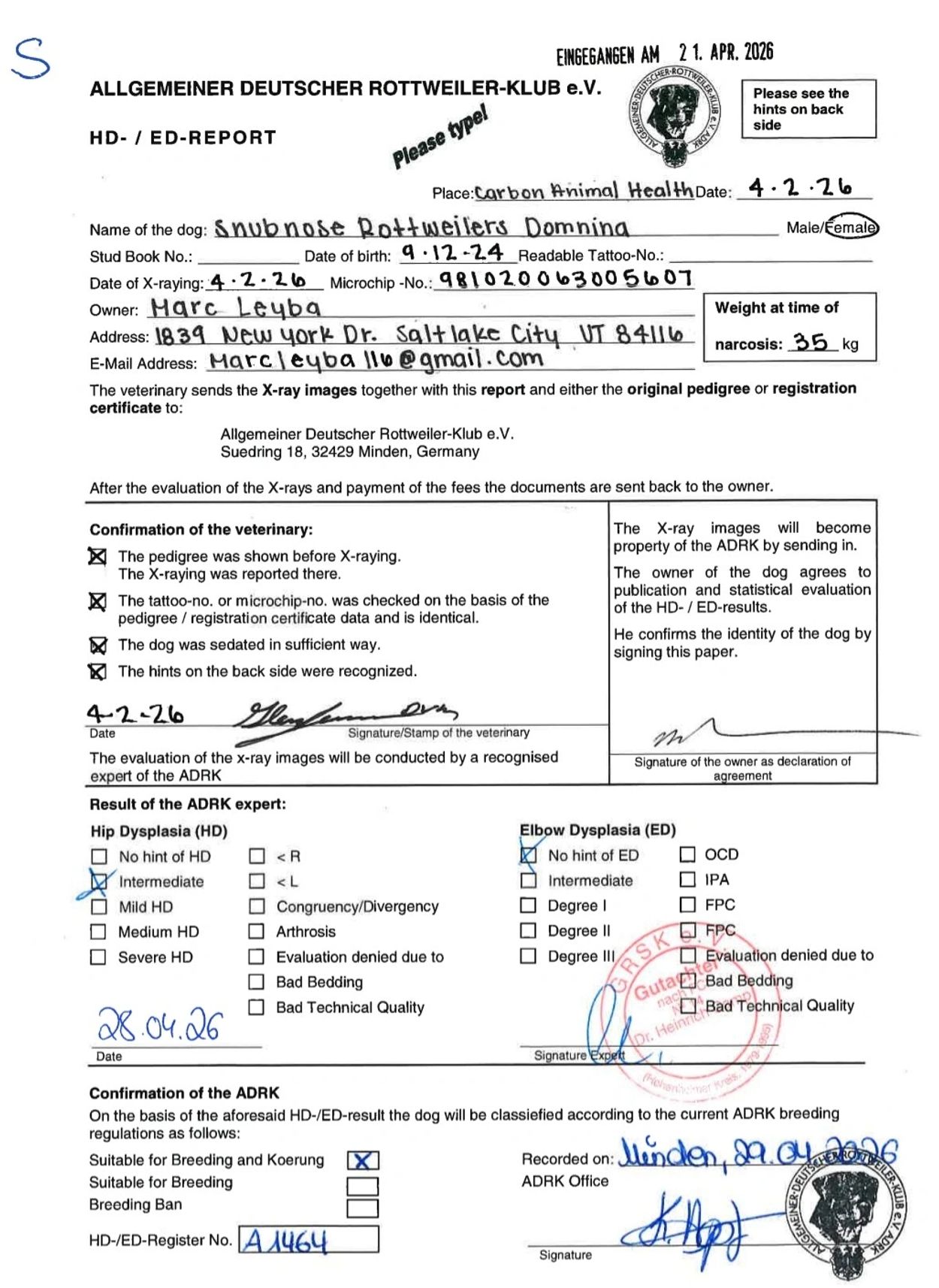 HD/ED report for Rottweiler named Snubnose Domnina.