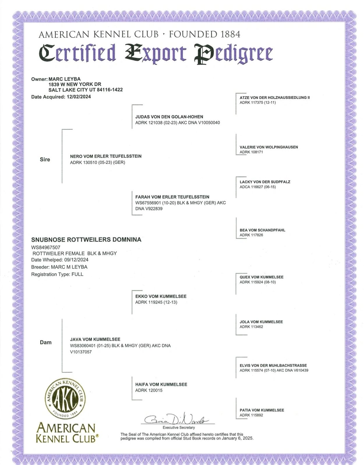 Certified Export Pedigree for Snubnose Rottweilers Domnina, a Rottweiler female.