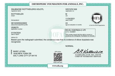 Elbow dysplasia certification for a Rottweiler from OFA.