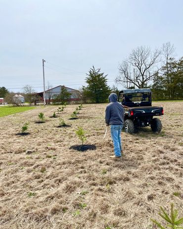 Planting trees helps the environment.