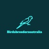 Bird  Breeders Australia
