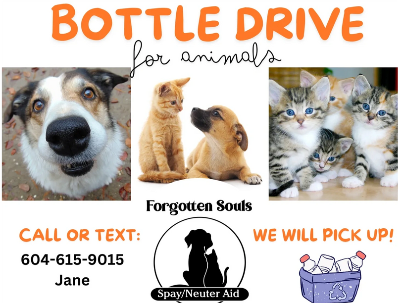 ONGOING BOTTLE DRIVE