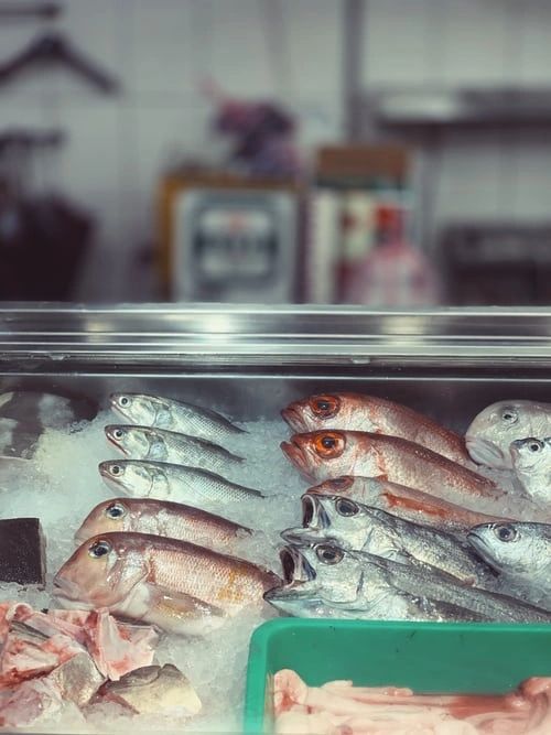 World has fast growing appetite for fish