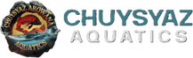 Chuysyaz Arowana Aquatics