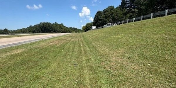 Grassy roadside area with clear skies and trees.