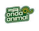 terapias