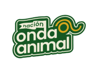 terapias