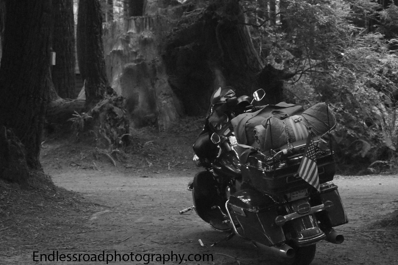 Motorcycle, Veteran, Black and White, Red Wood Trees, restful, peaceful, parked, camping, beautiful 