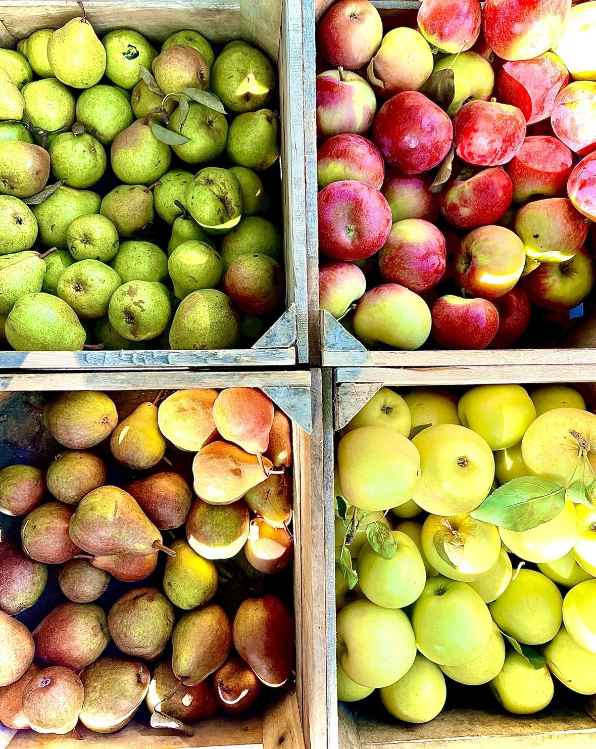 Clarke's Family Farm - Organic Apples, Pumpkins