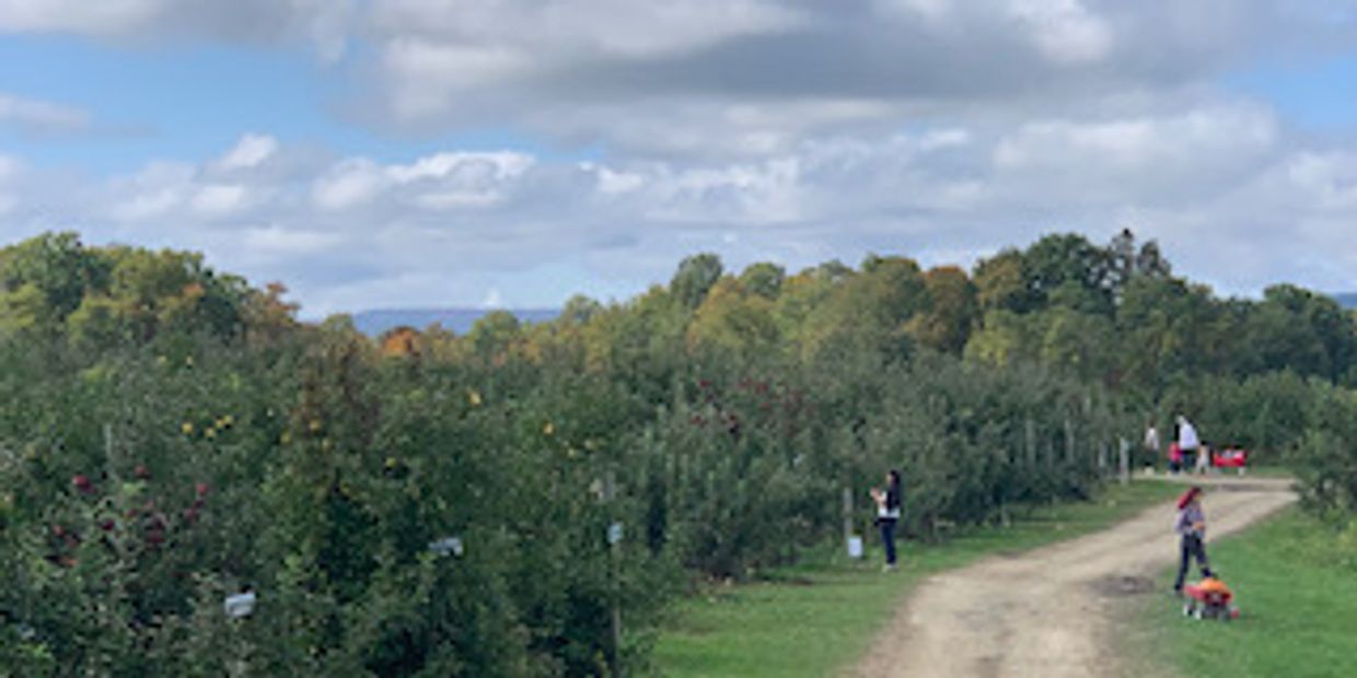 Clarke's Family Farm - Organic Apples, Pumpkins